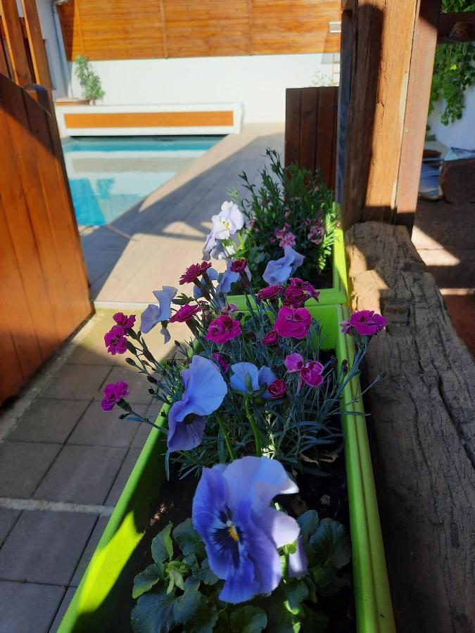 Oasis D'Alsace Villa Valff Luaran gambar